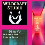 Artwork voor "Déjà Vu (Extended Mix)"