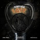 Portada para "Forever Love"