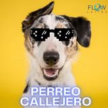 Artwork for "Perreo Callejero"