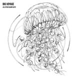 Jellyfish Bloom Part 2