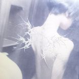 Portada para "Acid Dreams"