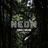 Artwork for "Jungle Dream"