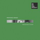 Portada para "Irreparably Broken"