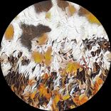 Artwork für "Black Friday EP"