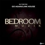 Artwork for "Go Again / Link House"