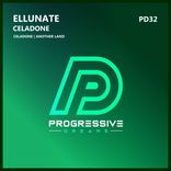 Artwork for "Celadone"