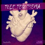 Artwork for "Tule Tegutsema"