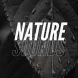 Artwork voor "Nature Sounds"