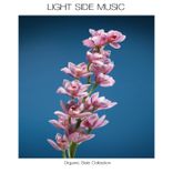 Artwork for "Organic Side Collection"