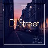 Portada para "D Street"