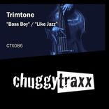 Artwork voor "Bass Boy / Like Jazz"