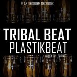 Artwork for "Tribal Beat"