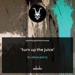 Artwork voor "Turn Up The Juice (Panthera Krause Remix)"