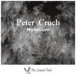 Artwork for "Mycelium"