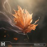 Artwork for "Echoes"