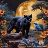 Artwork voor "Aftermath (Ginger Soul's 508 Shandis)"