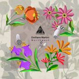 Artwork voor "Northwest"