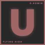 Artwork for "Flying High"