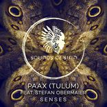 Artwork for "Senses"