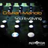 Artwork for "Soul Evolving"