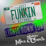 Artwork for "Lights Down Low"