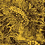 In a Sentimental Mood