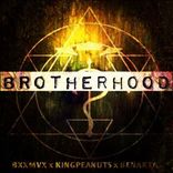 Artwork for "Brotherhood"