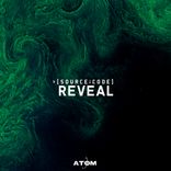 Artwork for "Reveal"
