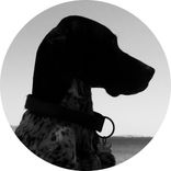 Artwork for "A Strange Light From The East"