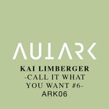 Portada para "Call It What You Want #6"