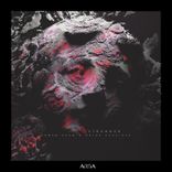 Artwork voor "Stranger"