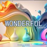 Artwork voor "Wonderful"