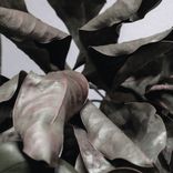 Artwork voor "The Honesty Of Time"