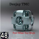 Artwork for "Feel What You Want"