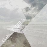 Artwork for "Salt Sea"