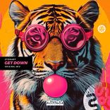 Artwork voor "Get Down"