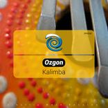 Artwork für "Kalimba"