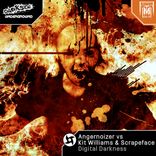 Portada para "Digital Darkness"