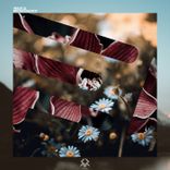 Artwork for "Renaissance"