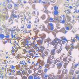 Portada para "Distorted Clamor"