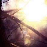 Artwork for "Slow Nights"