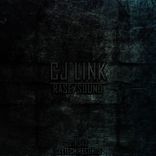 Portada para "Rase/Sound"