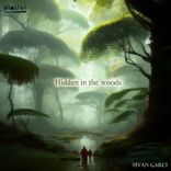 Artwork for "Hidden in the Woods"