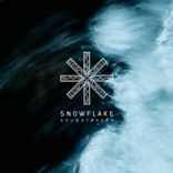 Artwork voor "Cronica"