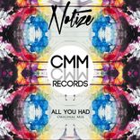 Artwork for "All You Had"