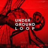 Portada para "Imitation"