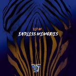 Artwork für "Endless Memories"