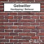 Artwork for "Hardhipping / Believer"