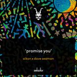 Artwork voor "Promise You"