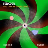 Portada para "You Got Me Going Crazy"